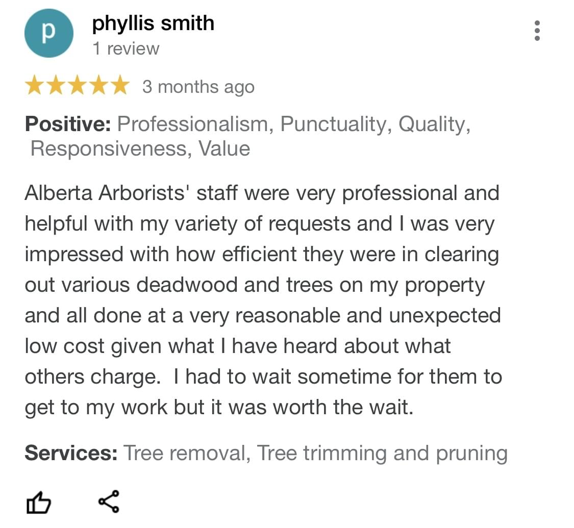 tree removal, tree pruning, tree trimming, arborist, tree care, tree service