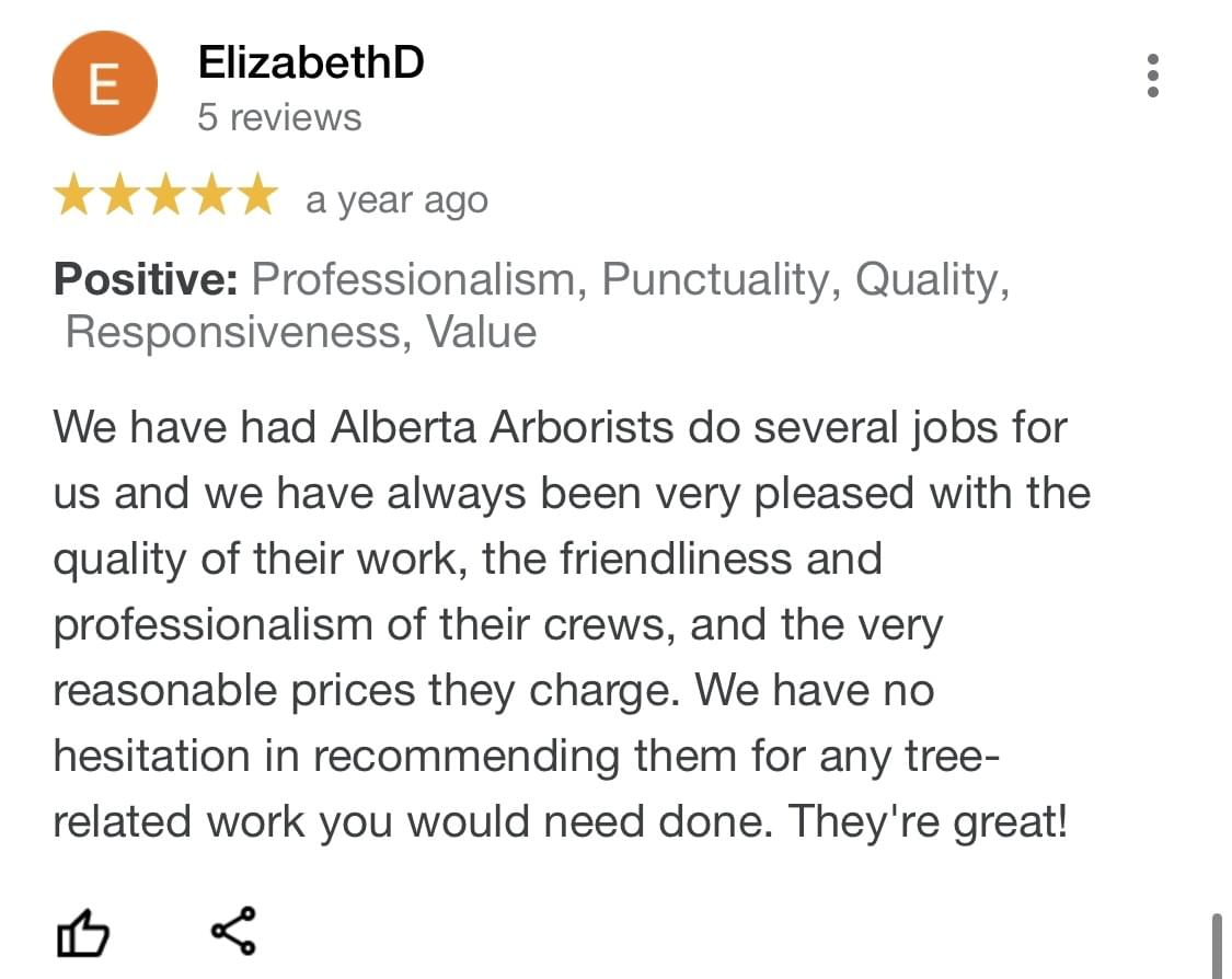 tree removal, tree pruning, tree trimming, arborist, tree care, tree service