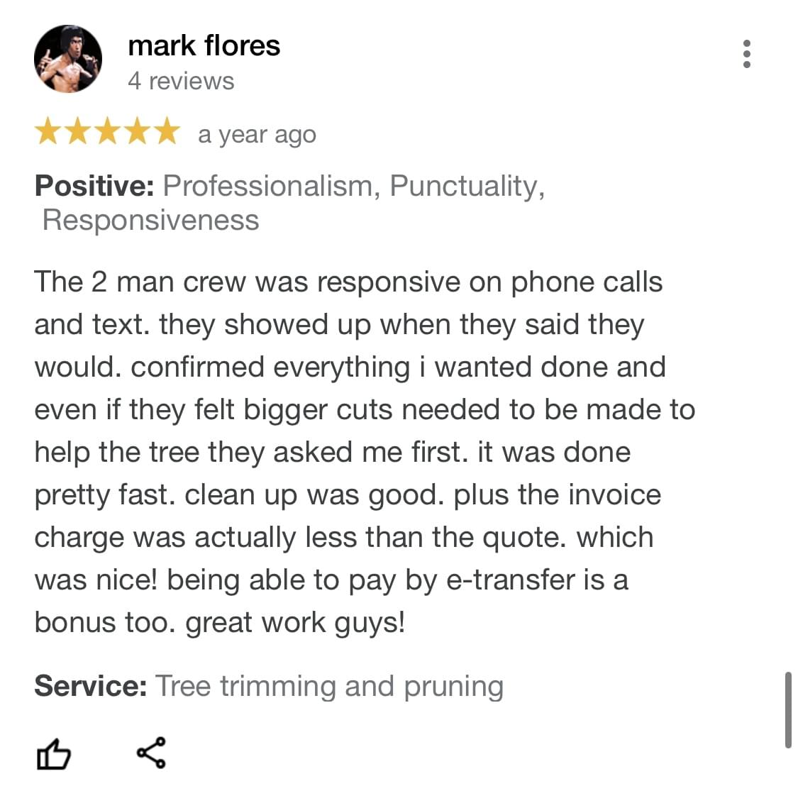 tree removal, tree pruning, tree trimming, arborist, tree care, tree service