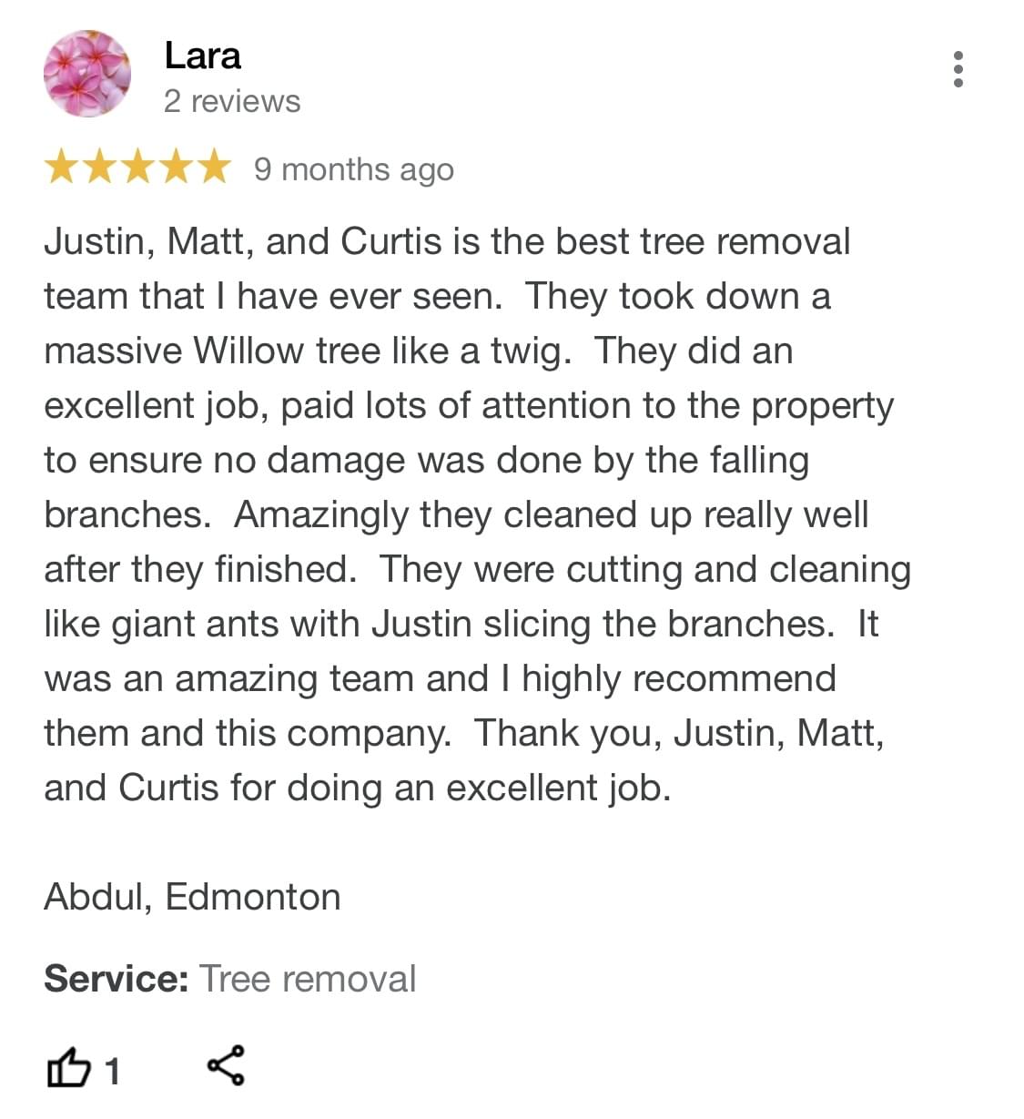 tree removal, tree pruning, tree trimming, arborist, tree care, tree service