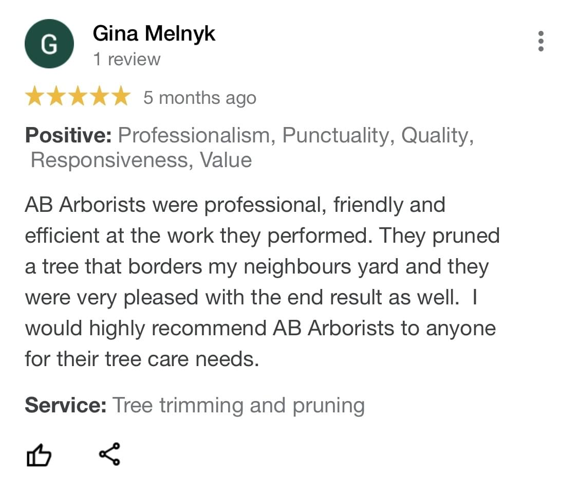 tree removal, tree pruning, tree trimming, arborist, tree care, tree service