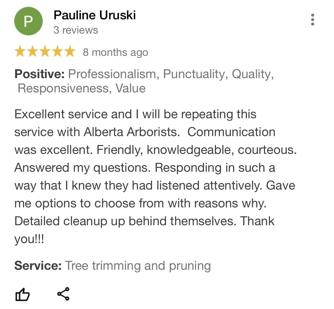 tree removal, tree pruning, tree trimming, arborist, tree care, tree service